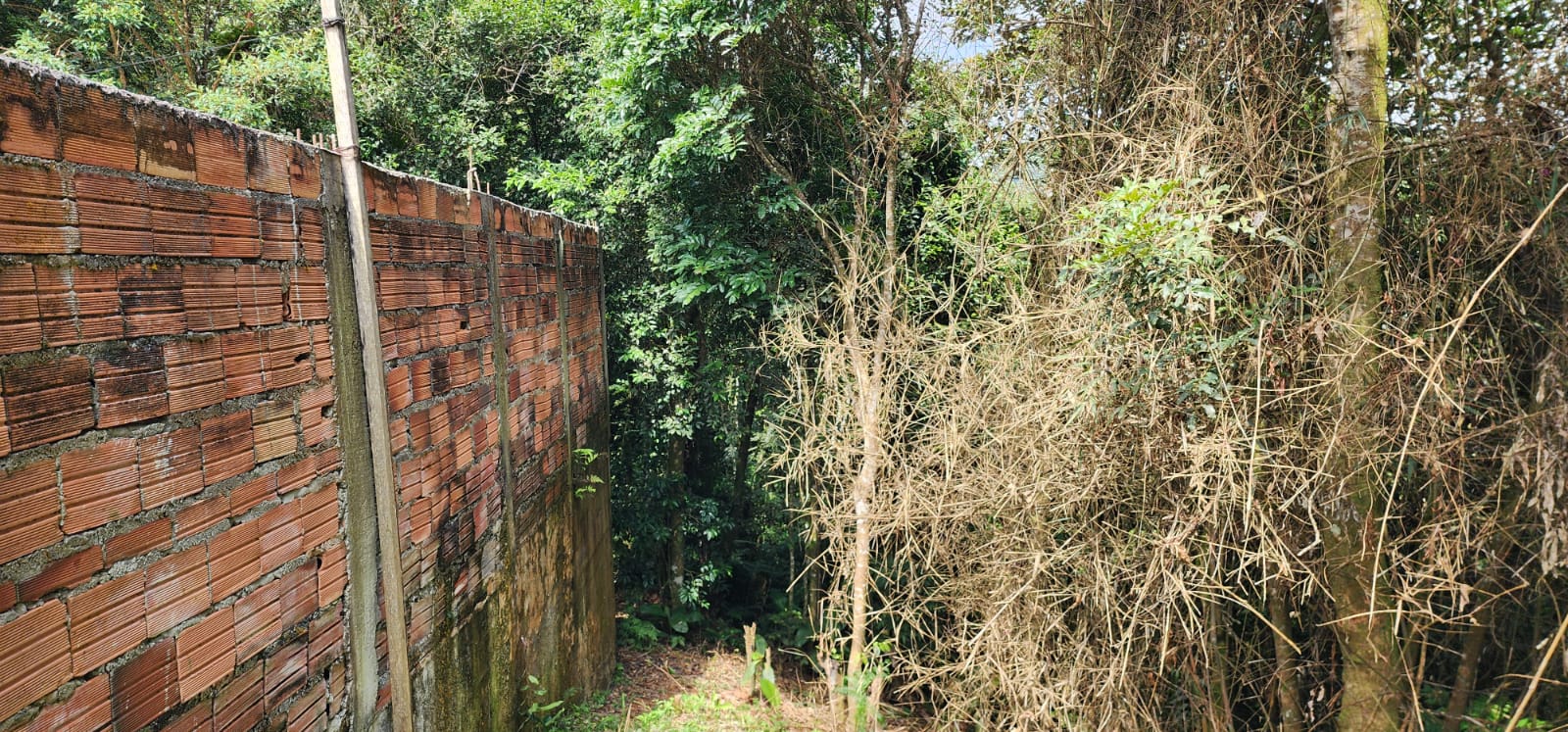 Terreno no Jarim Nakamura em Rio Grande da Serra